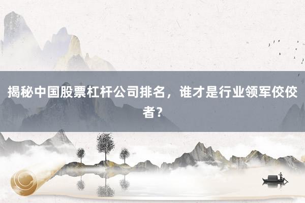揭秘中国股票杠杆公司排名，谁才是行业领军佼佼者？