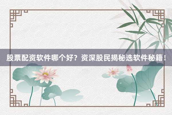 股票配资软件哪个好?资深股民揭秘选软件秘籍!