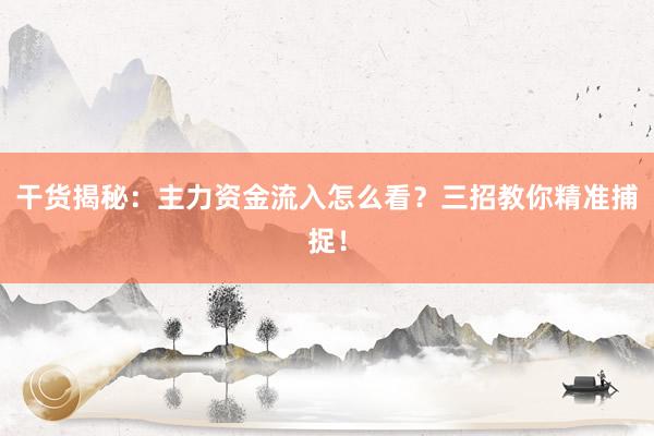 干货揭秘:主力资金流入怎么看?三招教你精准捕捉!