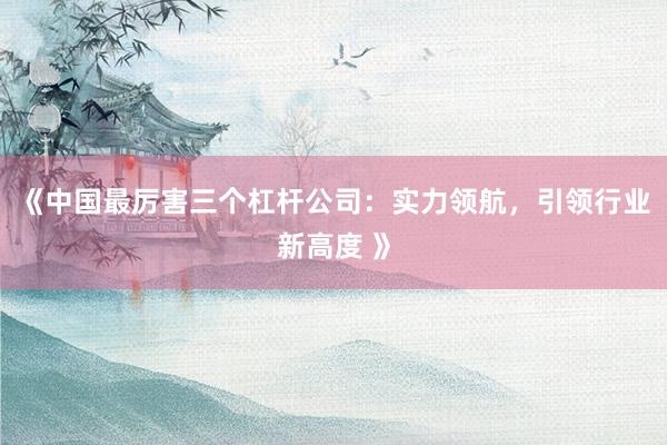 《中国最厉害三个杠杆公司：实力领航，引领行业新高度 》