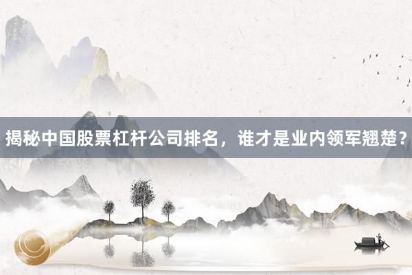 揭秘中国股票杠杆公司排名，谁才是业内领军翘楚？